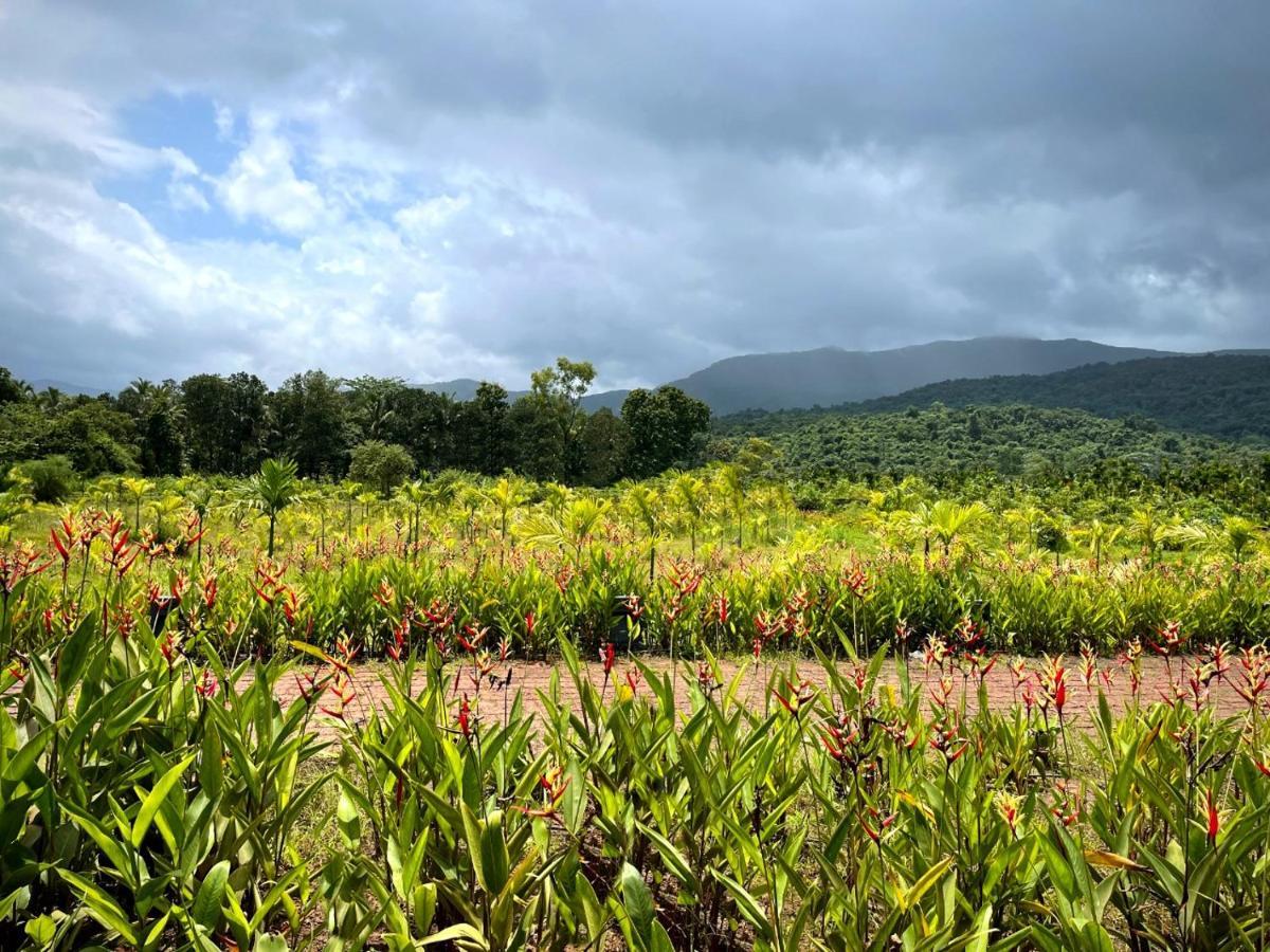 ホテル The Postcard Hideaway, Netravali Wildlife Sanctuary, Goa Vichondrem エクステリア 写真