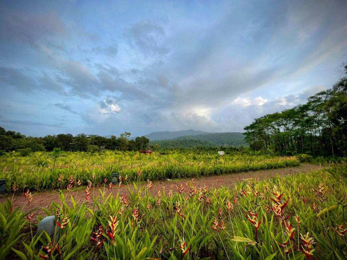 ホテル The Postcard Hideaway, Netravali Wildlife Sanctuary, Goa Vichondrem エクステリア 写真