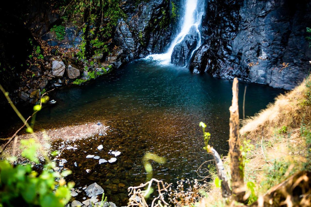 ホテル The Postcard Hideaway, Netravali Wildlife Sanctuary, Goa Vichondrem エクステリア 写真
