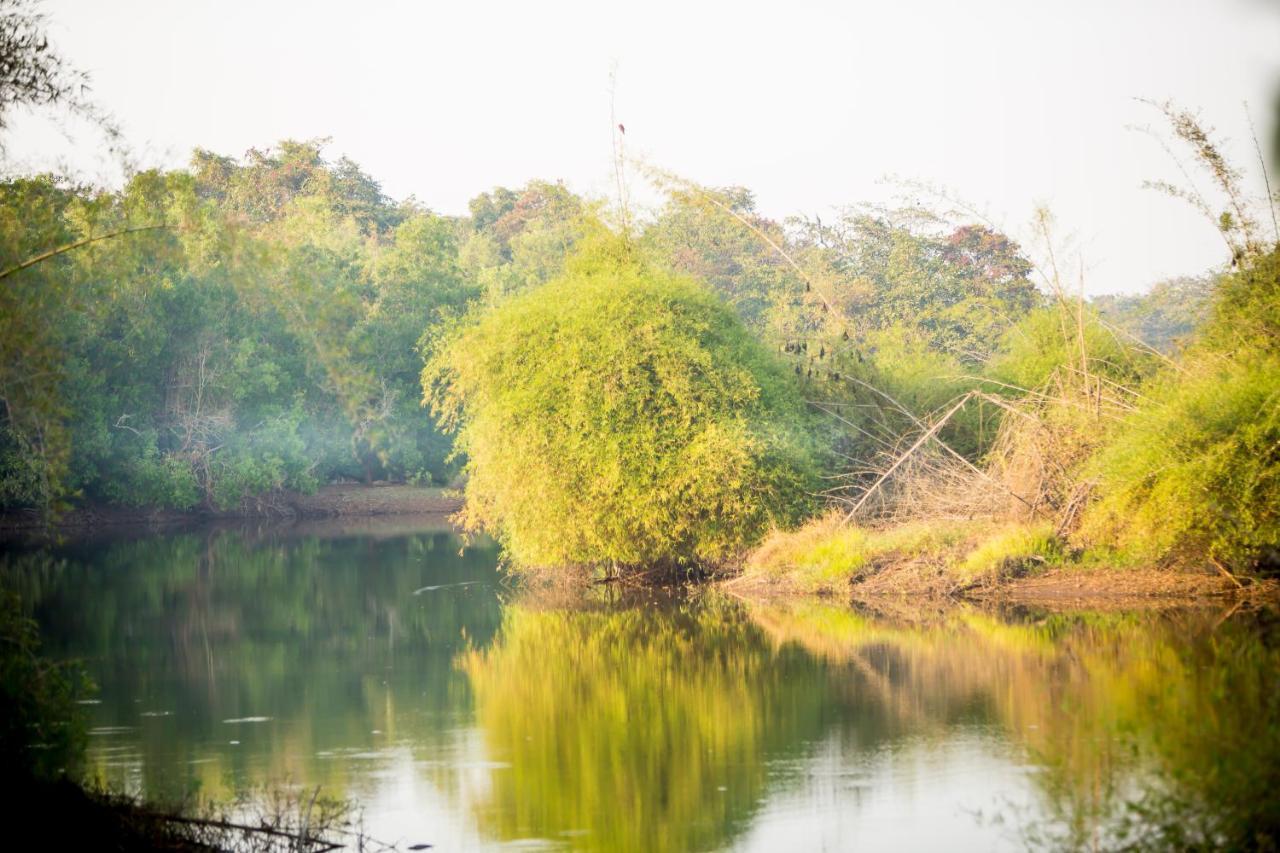 ホテル The Postcard Hideaway, Netravali Wildlife Sanctuary, Goa Vichondrem エクステリア 写真