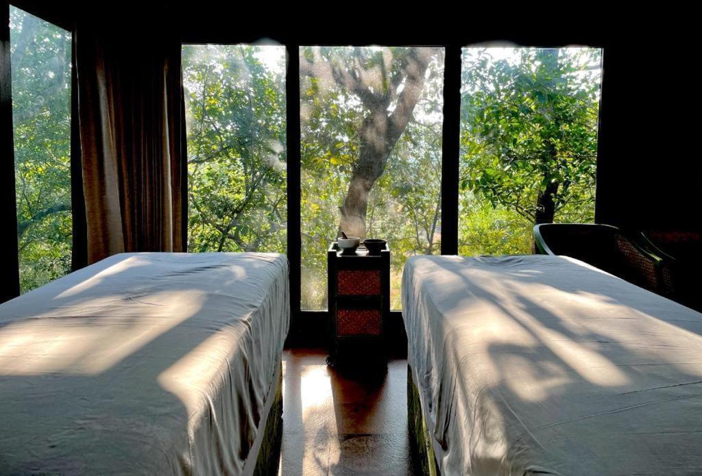 ホテル The Postcard Hideaway, Netravali Wildlife Sanctuary, Goa Vichondrem エクステリア 写真