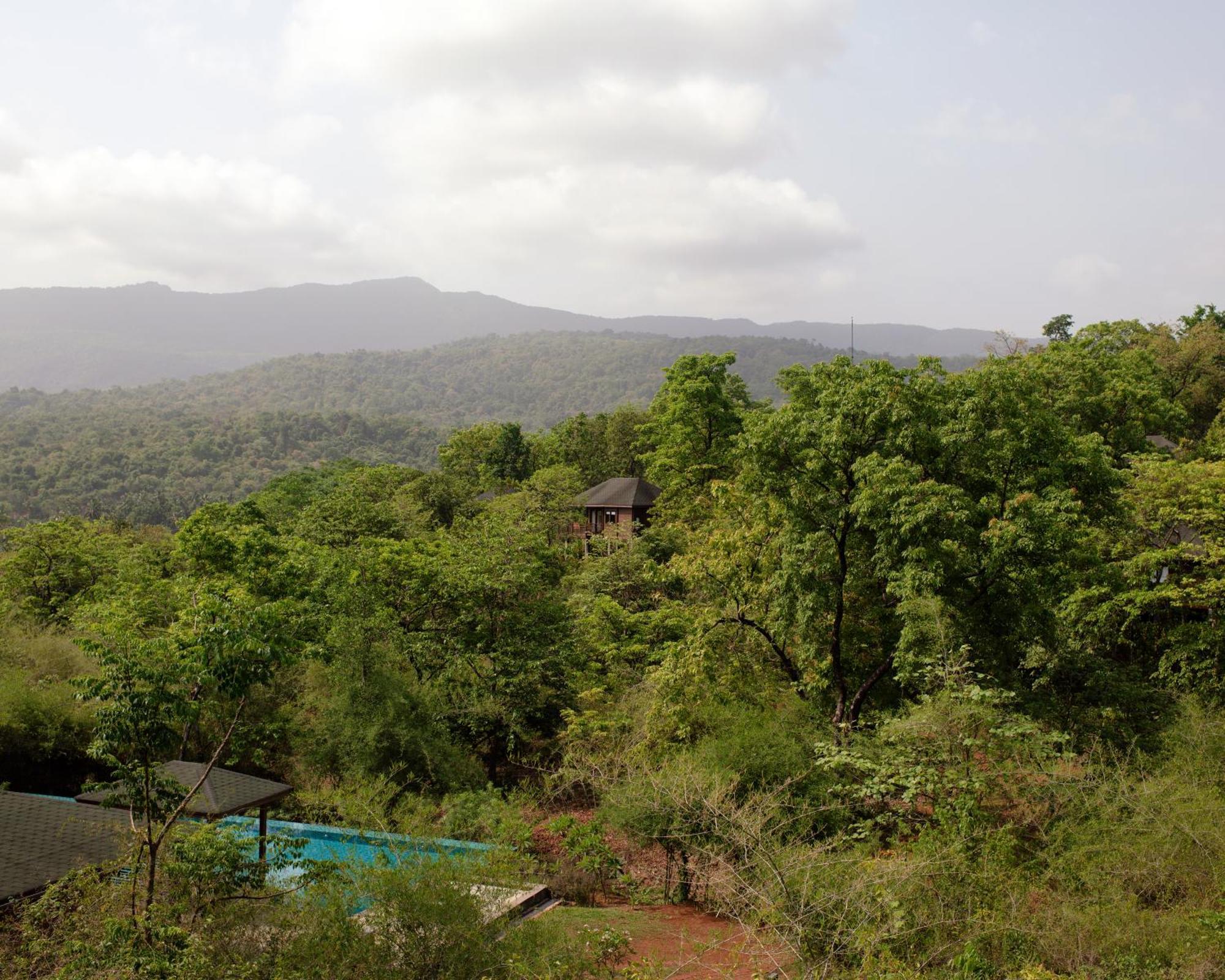 ホテル The Postcard Hideaway, Netravali Wildlife Sanctuary, Goa Vichondrem エクステリア 写真