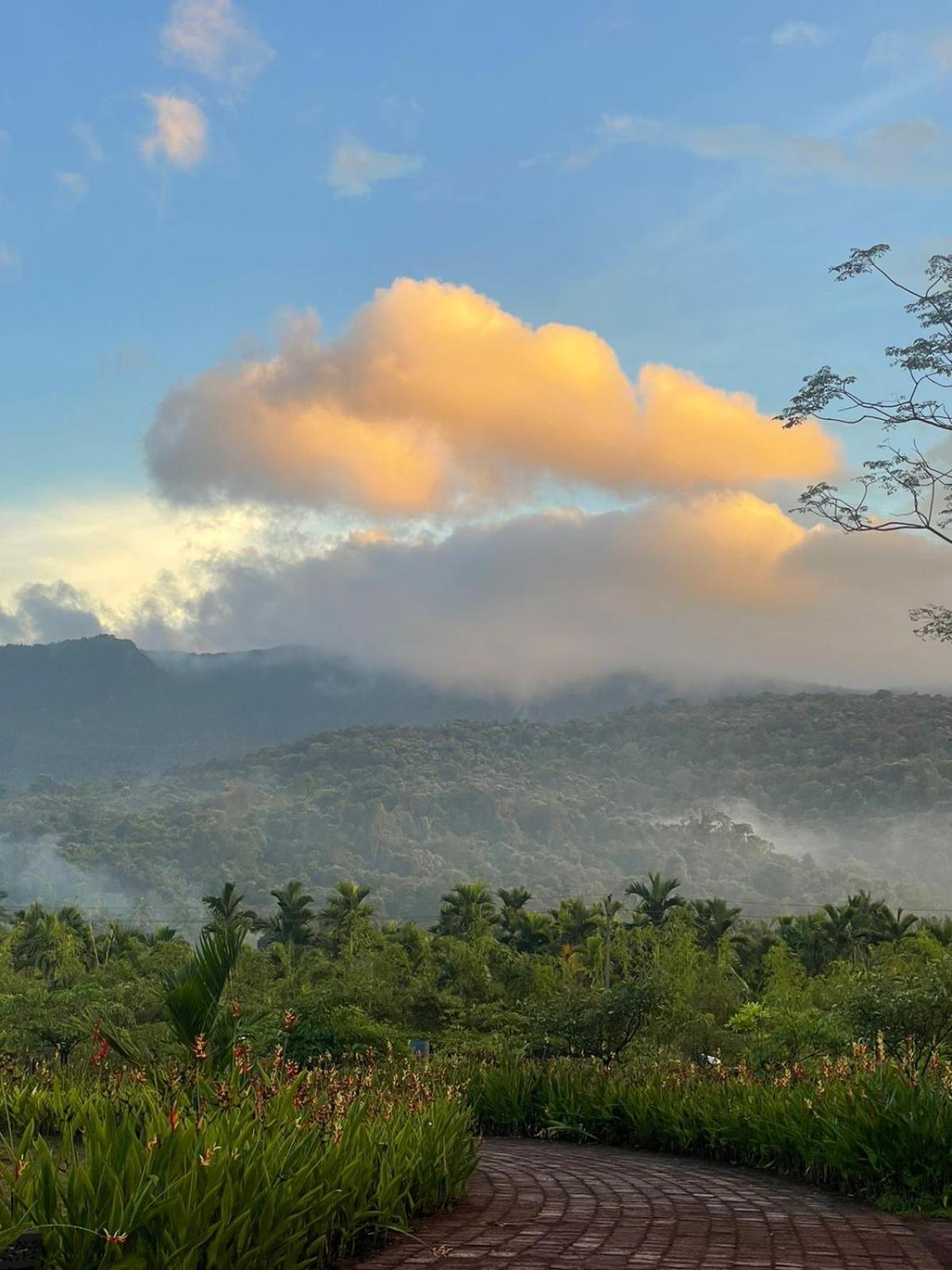 ホテル The Postcard Hideaway, Netravali Wildlife Sanctuary, Goa Vichondrem エクステリア 写真