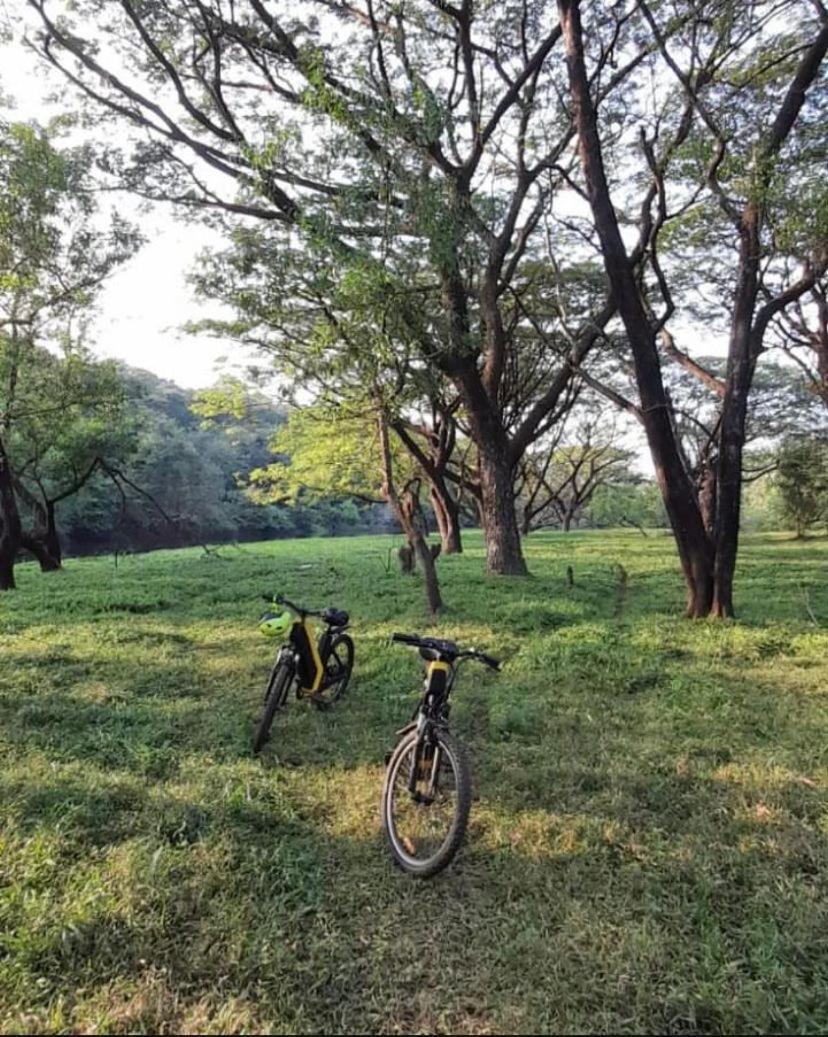 ホテル The Postcard Hideaway, Netravali Wildlife Sanctuary, Goa Vichondrem エクステリア 写真